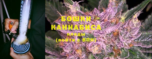 твердый Лиски