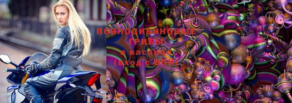 дмт Майский
